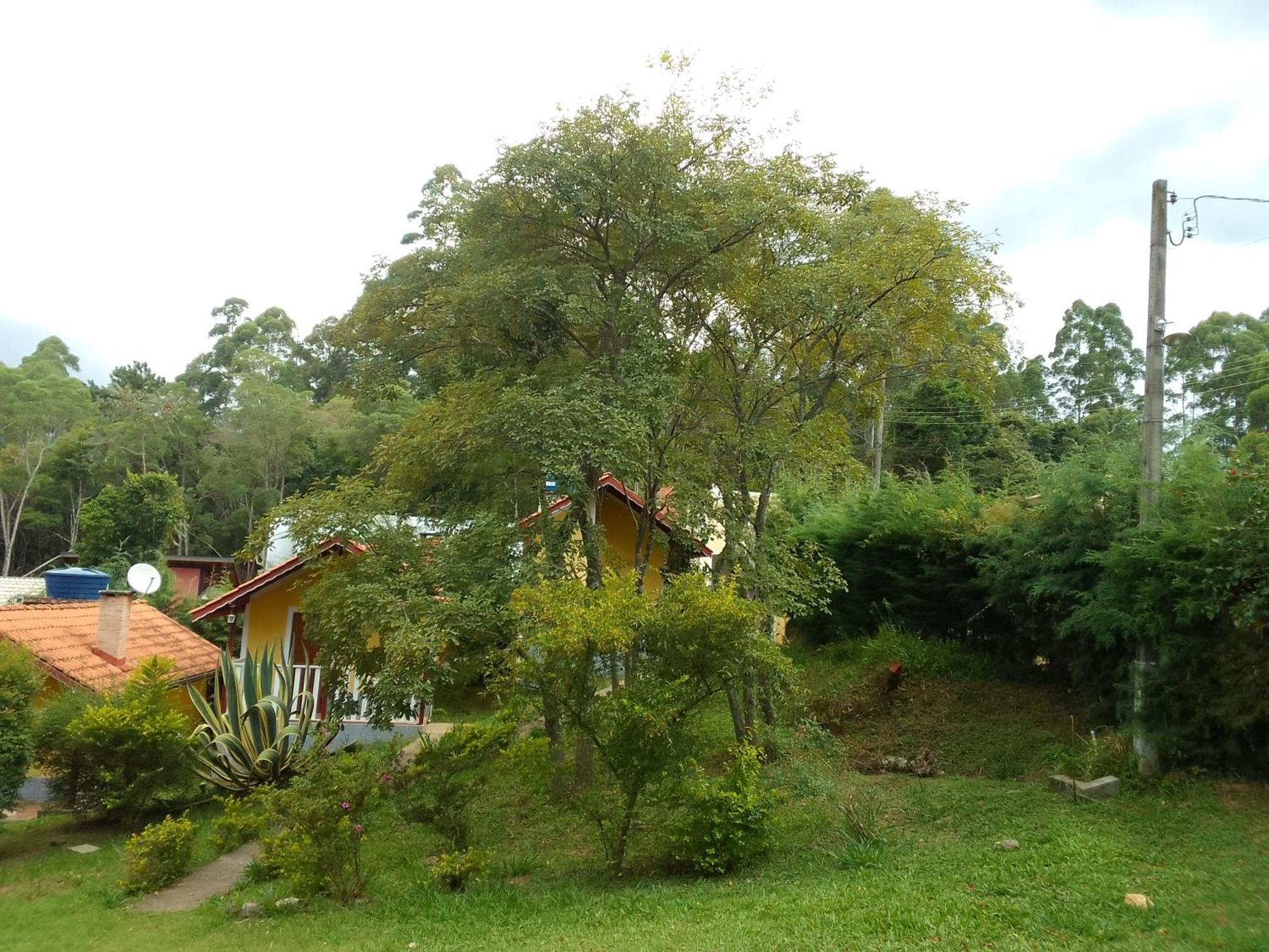 Chales Canto Dos Passaros Monte Verde  Exterior foto